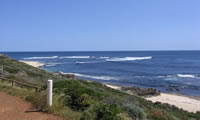 Surfs Up