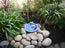Bird Bath