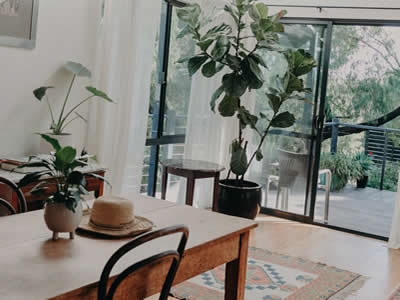 Dining, Deck